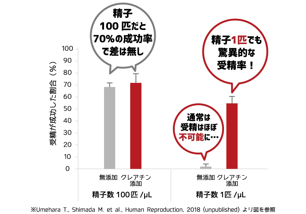 クレアチン添加による受精成功率のグラフ