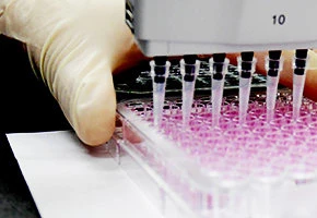 分析機器・実験の様子